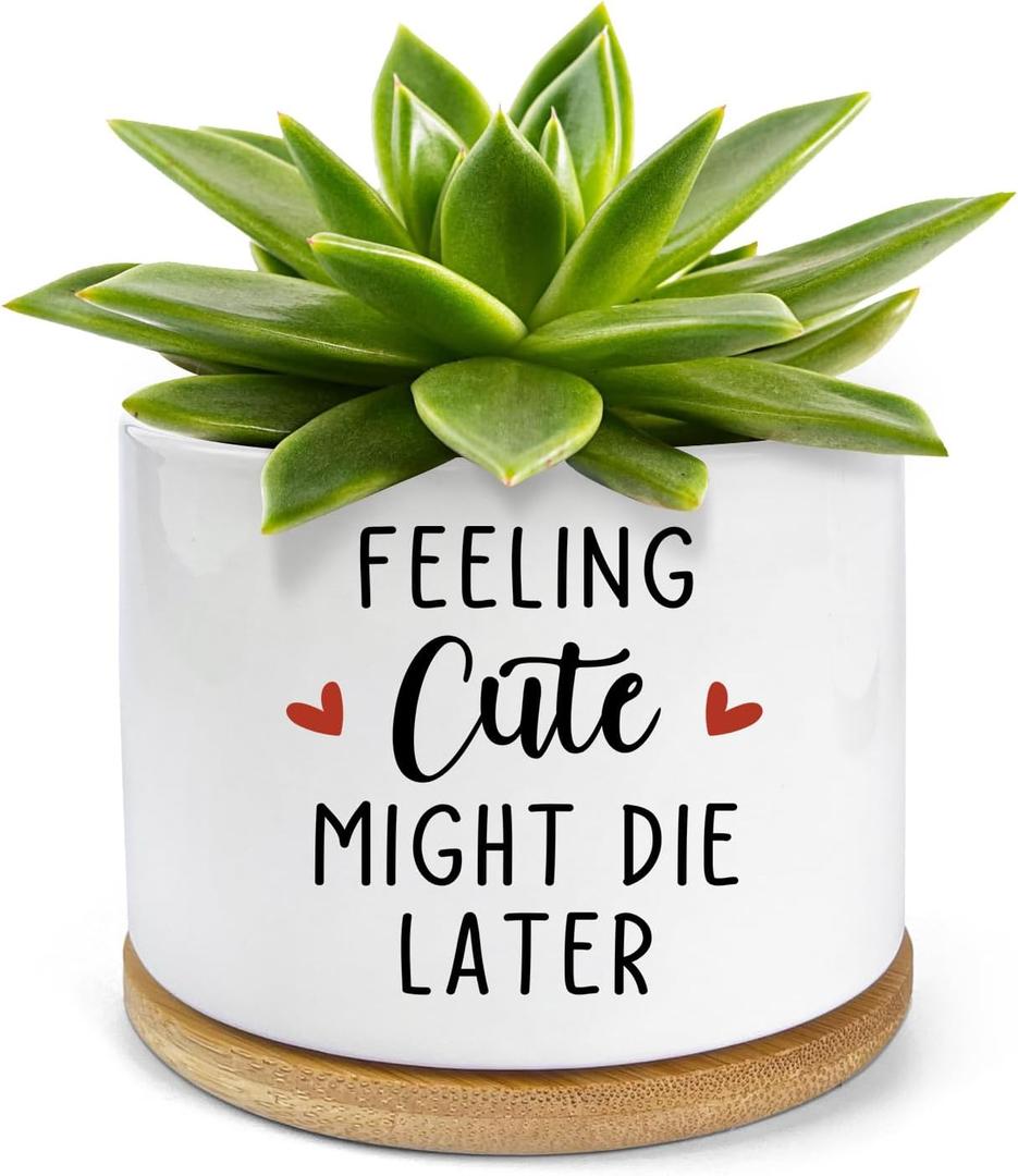 Feeling Cute Might Die Later Pot- Ceramic Engraved Succulent Aloe Cactus Planter Pot, Funny Indoor Plant Pots with Bamboo Tray for Mom Grandma Teacher Gifts(Plant Not Included)