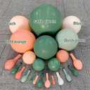 Sage Green Peach Balloon Arch, Double Stuffed Dusty Green Pastel Orange Blush Nude Matte Balloon Garland Kit for Baby Shower Birthday Bridal Wedding Easter Party Decoration