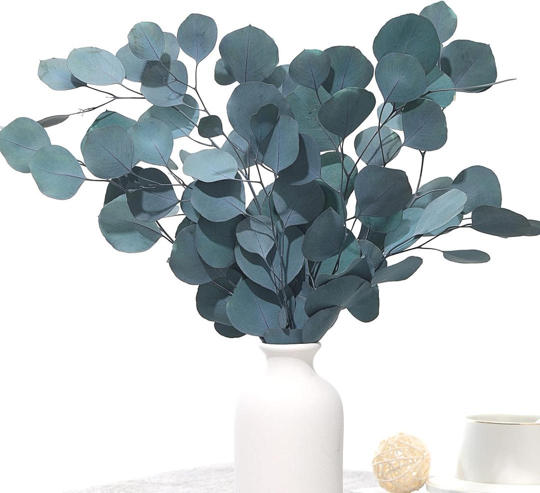 Preserved Dried Eucalyptus Stems, Blue Real Greenery Branches, 4-10 PCS Silver Dollar Leaves for Vase Filler, 14-17'' Fresh Eucalyptus Garland Plant for Wreath Wedding Home Farmhouse Party Decor