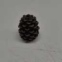 Pinecone Cabinet Hardware Knob