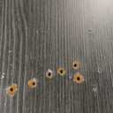 Bookcase Adjustable Storage Shelves,5-Tier Modern Wood Bookcase for Bedroom,60-Inch Bookshelf, Office, Living Room & Library(Grey)