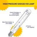 iPower 400W Digital Dimmable Electronic Horticulture Ballast with Pressure Sodium HPS Grow Light Bulb for Indoor Plants Growth