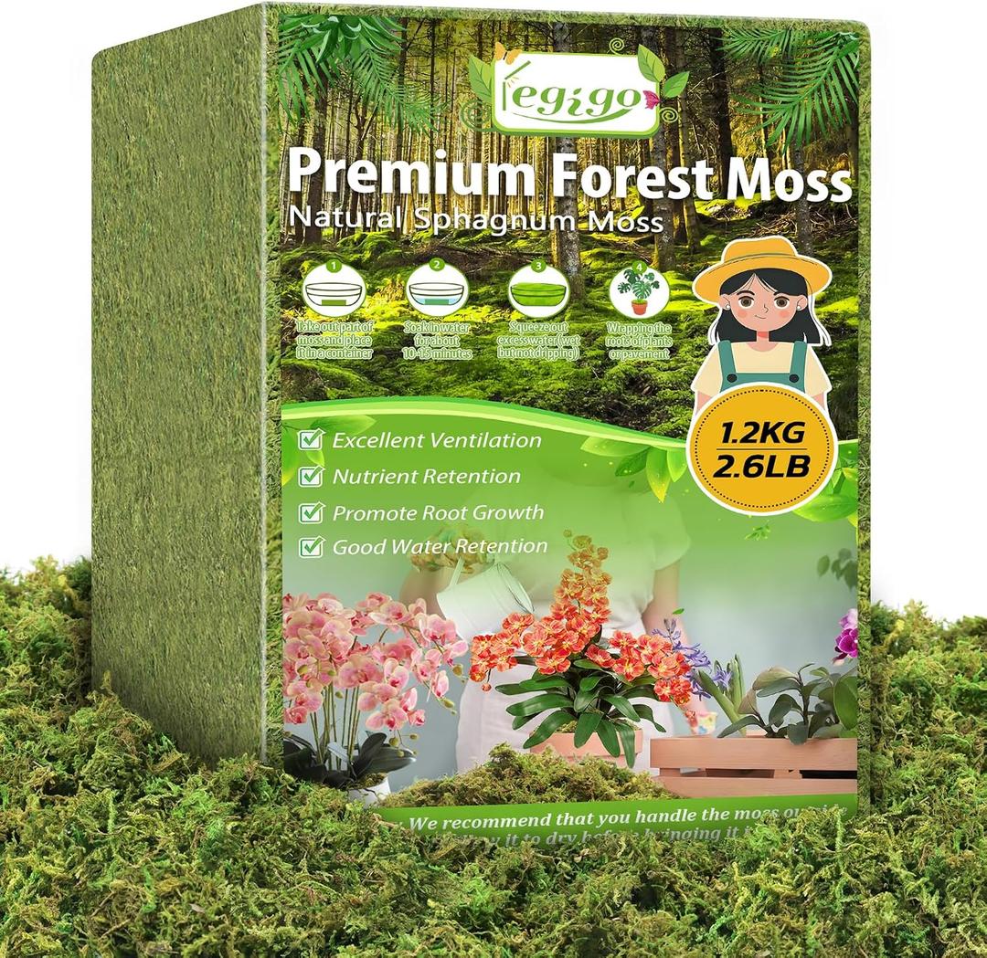 Legigo 2.6 LBS Green Moss for Plants Indoor, Crafts Moss for Artificial Plants, Decorative Dried Moss Forest Moss for Fake Potted Plants, Fairy Garden, Table Centerpieces and Terrarium Decor