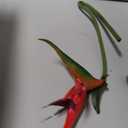 Hanaive 20 Pcs Bird of Paradise Artificial Plant 24 Inches Hawaiian Tropical Flowers Fake Rubber Strelitzia Faux Flowers Bouquet for Home Garden Office Wedding Indoor Outside Party Decor DIY (Pink)