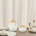WDS WONDROUS Fall Pumpkin Decor Set of 2, White and Gold Pumpkins for Decorating, Resin Fake Pumpkin Figurines, Harvest Thanksgiving Mantel Table Centerpiece Autumn Home Decoration Gift