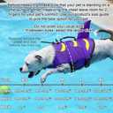 Fragralley Dog Life Jacket Shark, Dog Life Vest Adjustable Ripstop, Dog Swimming Safety Vest with Superior Buoyancy & Rescue Handle for \Dogs, Swim, Pool, Beach, Boating, L