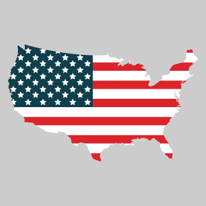 Larger Than Life Prints 762988907350 The United States State Flag Decal