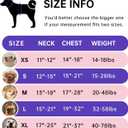 IVY&LANE No Pull Dog Harness for Small Dogs, Dog Vest Harness with Leash, Safety Belt and Storage Strap, Fully Adjustable Harness, 360 Reflective Strip, Soft Handle (Purple, S)