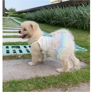 YQYS Pet Vest Dress, Tutu Skirts for Puppy, Summer Sundresses for Small Dogs and Cats Rainbow Color Large