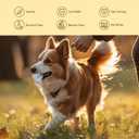 Pet Grooming Gloves for Dogs and Cats, coconut oil for dogs  dog paw wipes dog washing gloves (unscented 24pcs)