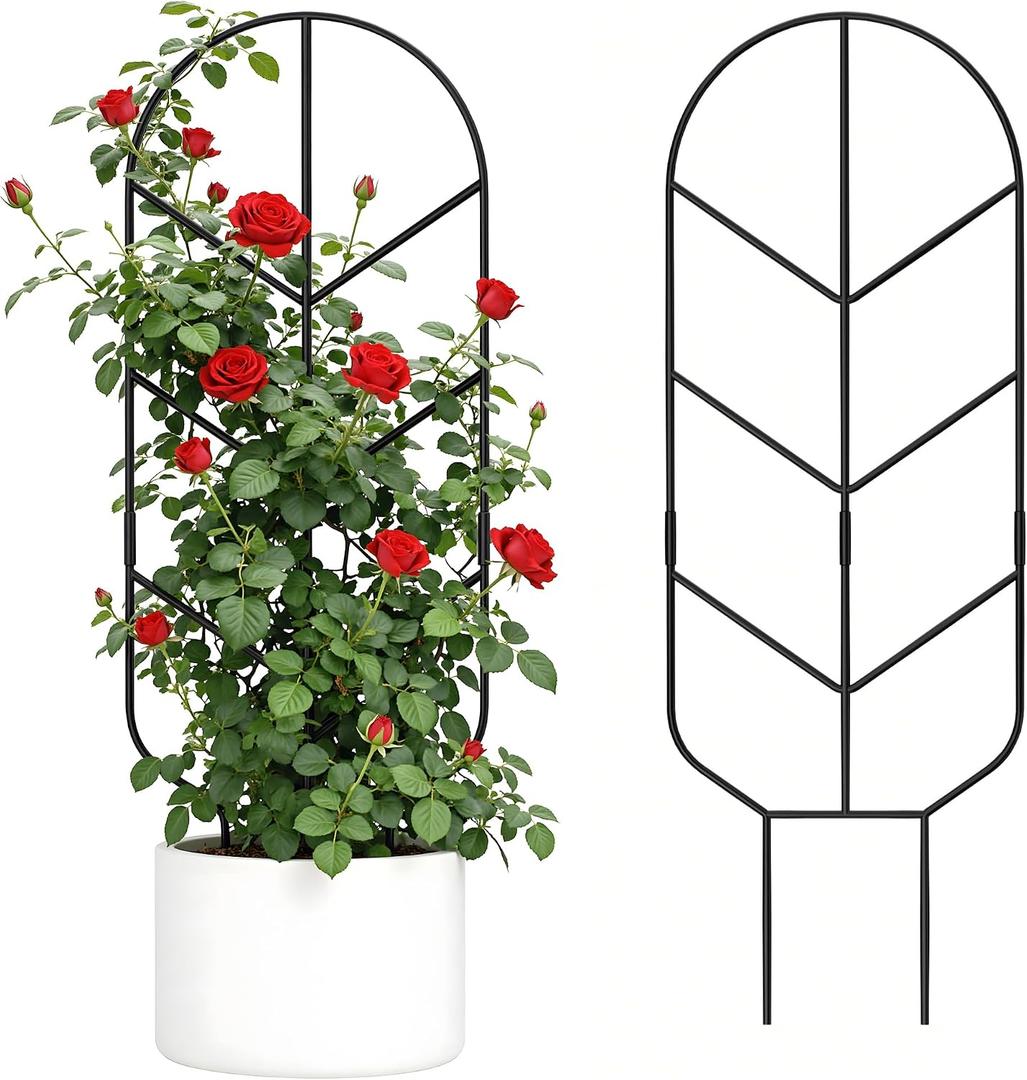 2 Pack 30'' Large Metal Plant Trellis for Climbing Plants, Tall Plant Support for Indoor & Outdoor Use, Modern Decorative Trellis for Potted Plants (2 Pack)