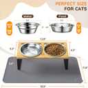 Elevated Cat Food Bowls with Mat, 2 Stainless Steel Raised Cat Food and Water Bowls, 15 Tilted Stand Anti Vomitting, Whisker Fatigue, Dishwasher Safe Cat Bowl