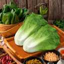 Lorigun Artificial Lettuce, Fake Vegetable, Artificial Vegetables for Decoration, Home Kitchen Decor, PU Vegetable 2 Pcs