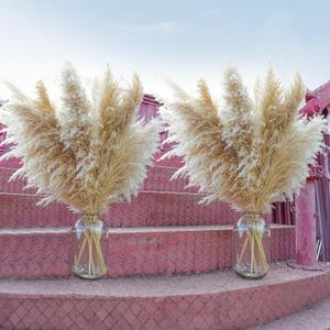 40pcs 40'' Pampas Grass Tall Decor - Pompas Floral, Tall Pampas Grass for Floor Vases, Living Room Floor, Floor Plants, Plumas para, and Grass Wall Decor 40pcs 40'' Pampas Grass Tall Decor - Pompas Floral, Tall Pampas Grass for Floor Vases, Living Room Floor, Floor Plants, Plumas para, and Grass Wall Decor
