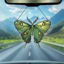 Luna Moth Ornaments Decor - Luna Moth Gifts for Women Men - Home Wall Room Kitchen Christmas Decorations - Acrylic Ornament