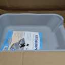 KittyGoHere Senior Cat Litter Box, Small Litter pan, Open Top Low Entrance Kitty Litter Box, Lightweight Low Entry Litters Box, Durable, Made in USA (Misty Gray)