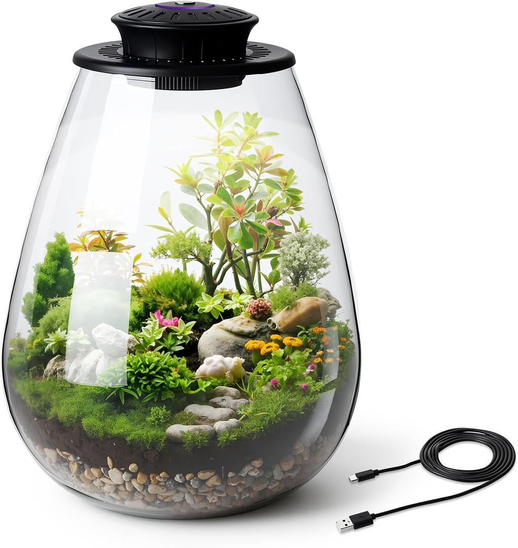 Glass Terrarium with Grow Light, 6.7"x8.7" for Succulent Moss
