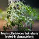 Seedlingers Super Yield Flower & Garden All Purpose Plant Food Ready to Spray Hose End