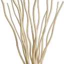 Dried Curly Willow Branches, 15 Stems Dried Twigs Sticks 18-19” Decorative 100% Natural Birch Branches for Vases, DIY, Floral Arrangement, Centerpiece, Rustic Home Decor, Beige