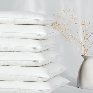 Goose Feather Down Throw Pillow Insert (20"x20", Pack of 2), Decorative Pillow for Sofa, Couch, Bed, Chair Cushion