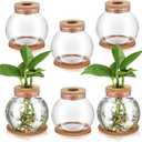 Baderke 6 Packs Propagation Vases for Plants Plastic Plant Propagation Station with Hole Lid and Cork Coasters Plant Growing in Water Hydroponic Home Office Table Decoration(Fish Bowl Style)