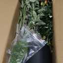 Olive Trees Artificial Indoor, 5FT Tall Faux Olive Tree with Moss and Planter, Artificial Plants Indoor with Natural Wood Trunk and Lifelike Fruits, Fake Tree for Home Office Living Room Decor