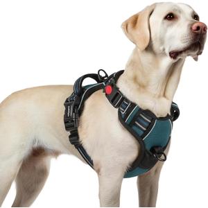 rabbitgoo Dog Harness for Large, No Pull Pet Harness with 3 Buckles, Adjustable Soft Padded Vest with Control Handle, Walking Reflective Pet Vest for Large Dogs, Blue Coral, L