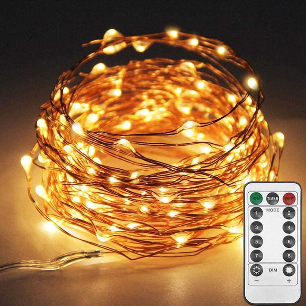 Twinkle Star 33ft 100LED Copper Wire String Lights Fairy String Lights 8 Modes USB Powered with Remote Control for Wedding Party Home Christmas Decoration, Warm White Twinkle Star 33ft 100LED Copper Wire String Lights Fairy String Lights 8 Modes USB Powered with Remote Control for Wedding Party Home Christmas Decoration, Warm White