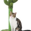 Made4Pets Cat Scratching Post, 25.6" Cactus Cat Scratcher Kitten Scratch Post with Sisal Rope for Indoor Cats Claw Scratcher, Vertical Green Cat Tree with Dangling Ball for Kitties Medium
