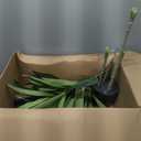Dracaena Artificial Plant Indoor 4FT - Tall Faux Floor Plant in Pot - Large Tropical Fake Tree with Lifelike Leaves - Artificial Dracaena Tree for Home Office Living Room Decor