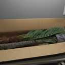 8.2FT Artificial Phoenix Palm Tree with Coconut Fruit Outdoor Indoor Decor Large Faux Coconut Silk Palm Tree Tropical Fake Tree Large Faux Sago Palm Plant for Home Yard Outside Patio Poolside