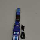 Flashseen LED Dog Collar, Light Up Dog Collar USB Rechargeable, Brightest Dog Lights for Night Walking, Adjustable Dog Collar Light for Dog Safety(Medium, Royal Blue)