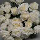 50pcs Ivory Roses Artificial Flowers Bulk Fake White Roses Silk Flower with Stems Realistic Flowers for Wedding Centerpiece Party Birthday Decor