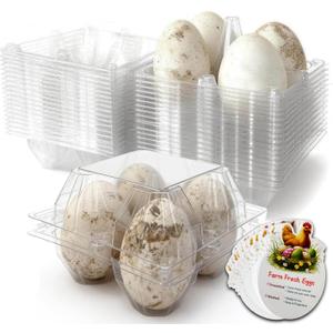 Plastic Goose Egg Cartons Cheap Bulk Empty Clear Large Duck Eggs Tray Holders Box for Farm Reusable Storage Container (20, 2x2)
