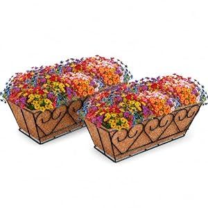 ZeeDix Railing Planter Boxes with Artificial Flowers, 2 Pack 16 Inch Window Box Planter with 24 Pack Fake Flowers for Deck Porch Patio Balcony Garden Home Decor