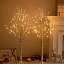Hairui Pre Lit Birch Tree 2 Pack 4FT 72 Warm White LED White Christmas Tree for Indoor Outdoor Home Christmas Spring Easter Holiday Decoration Indoor Outdoor