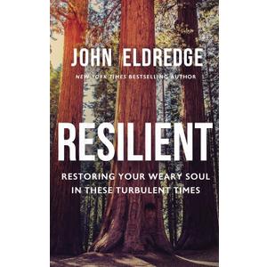 Resilient: Restoring Your Weary Soul in These Turbulent Times