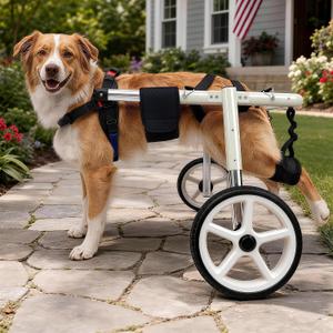 Large Dog Wheelchair for Back Legs, Adjustable Mobility Cart
Heavy Duty Mobility Aid for Large Dogs, Lightweight Adjustable Dog Cart for Disabled Hind Legs,M3 for 90-135lbs