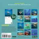 Shark Mini Wall Calendar 2026