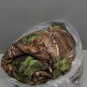 Northwest Realtree Full/Queen Size 1 Comforter and 2 Sham Set, All Seasons, Men and Women Soft Cabin Bedding, Xtra Green Camo