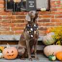 Halloween Dog Bandanas - 2 Pack Fall Dog Bibs | Reversible Pumpkin and Ghost Pet Scarf for Boys and Girls | Premium Durable Fabric | Boo Dog Bandana for Large and Extra Large Dogs (X-Large)