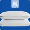 Sealy Dreamlife US Standard Size Memory Foam Cooling Pillow with SealyChill Cooling Gel, Removable Machine-Washable Cover, Made in The USA (2 Pack)