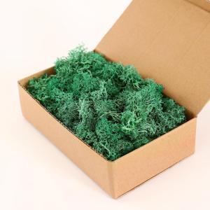 Moss Preserved, Craft Reindeer Green Decorative Moss for Enchanted Forest Decorations, Fairy Garden, Party, Art Wall, Indoor Potted Plants,Table, Terrariums, Bonsai Decor (5Green,3.6OZ)