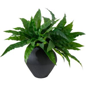 ucky Artificial Greenery Stems Dracaena Branches for Vase Faux Greenery Fake Plants Artificial Dracaena Leaves for Outdoor Home Garden Porch Decor (2PCS Bird's Nest Fern, 20 Leaves)