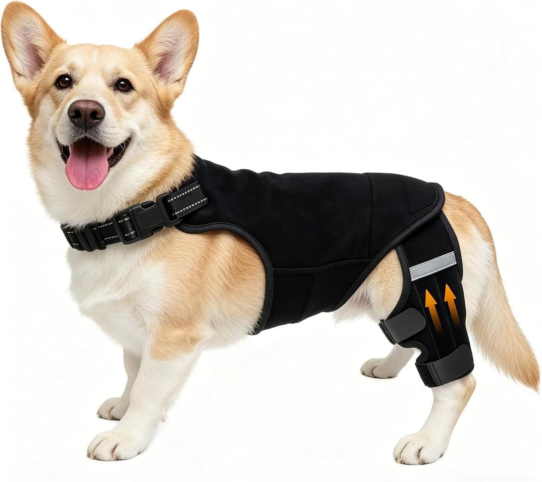 Dog Knee Braces for Torn ACL Hind Leg, Adjustable Dog Leg Braces for Back Leg with 4 Stabilizers for Luxating Patella Relieves Ligament Injury and Joint Pains M