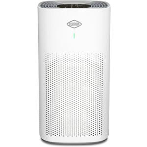 Clorox HEPA Air Purifiers for Home, True HEPA Filter, Large Rooms Up to 1,500 Sq Ft, Removes 99.9% of Mold, Viruses, Wildfire Smoke, Allergens, Pet Allergies, Dust, AUTO Mode, Whisper Quiet