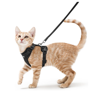 rabbitgoo Cat Harness and Leash for Walking, Escape Proof Soft Adjustable Vest Harnesses for Cats, Easy Control Breathable Reflective Strips Jacket, Black, XS