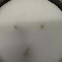 Bath & Body Works Leaves 3-Wick Scented Candle 14.5 oz