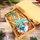 Syhood Axolotl Christmas Ornament Gift Personalized Acrylic Cute Axolotl Craft Christmas Tree Hanging Ornament Holiday Animal Keepsake Party Decoration Xmas Party Decor Gift for Reptile Lovers(Blue)