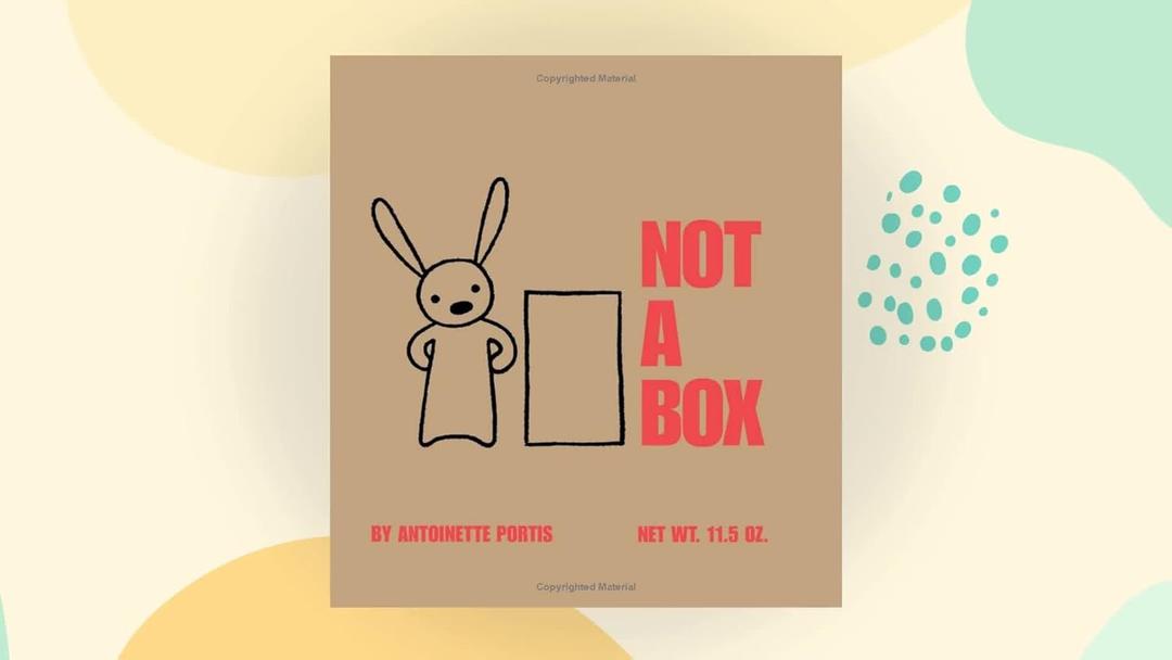 NOT A BOX, BU ANTOINETTE PORTIS NOT A BOX, BU ANTOINETTE PORTIS